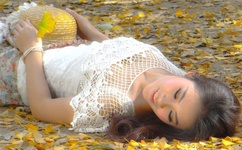 舞林大会第二季